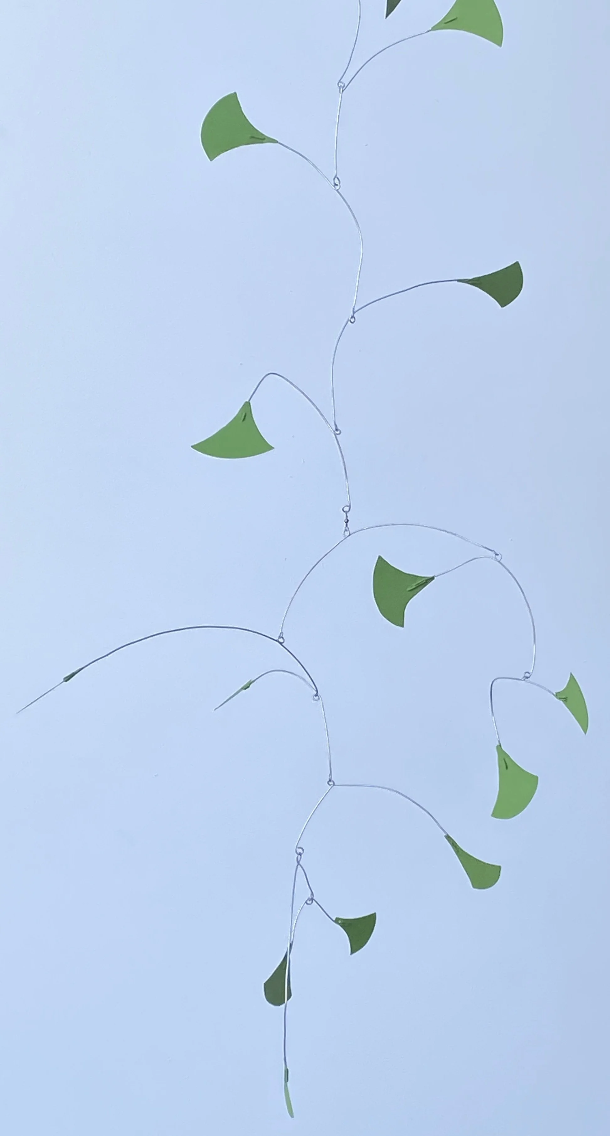 Double Branch Ginkgo