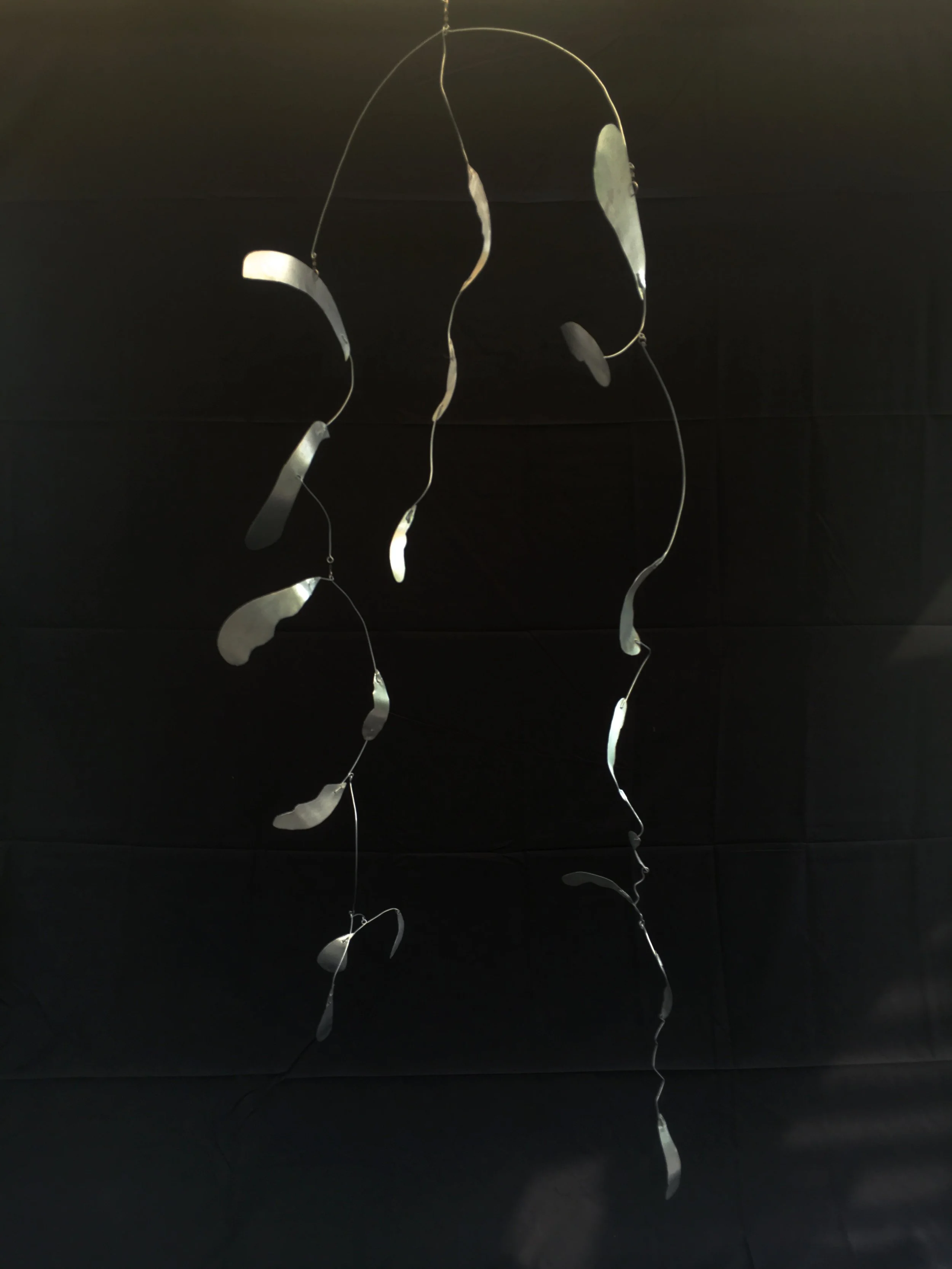 CURSED BY THE GODS:  Icarus