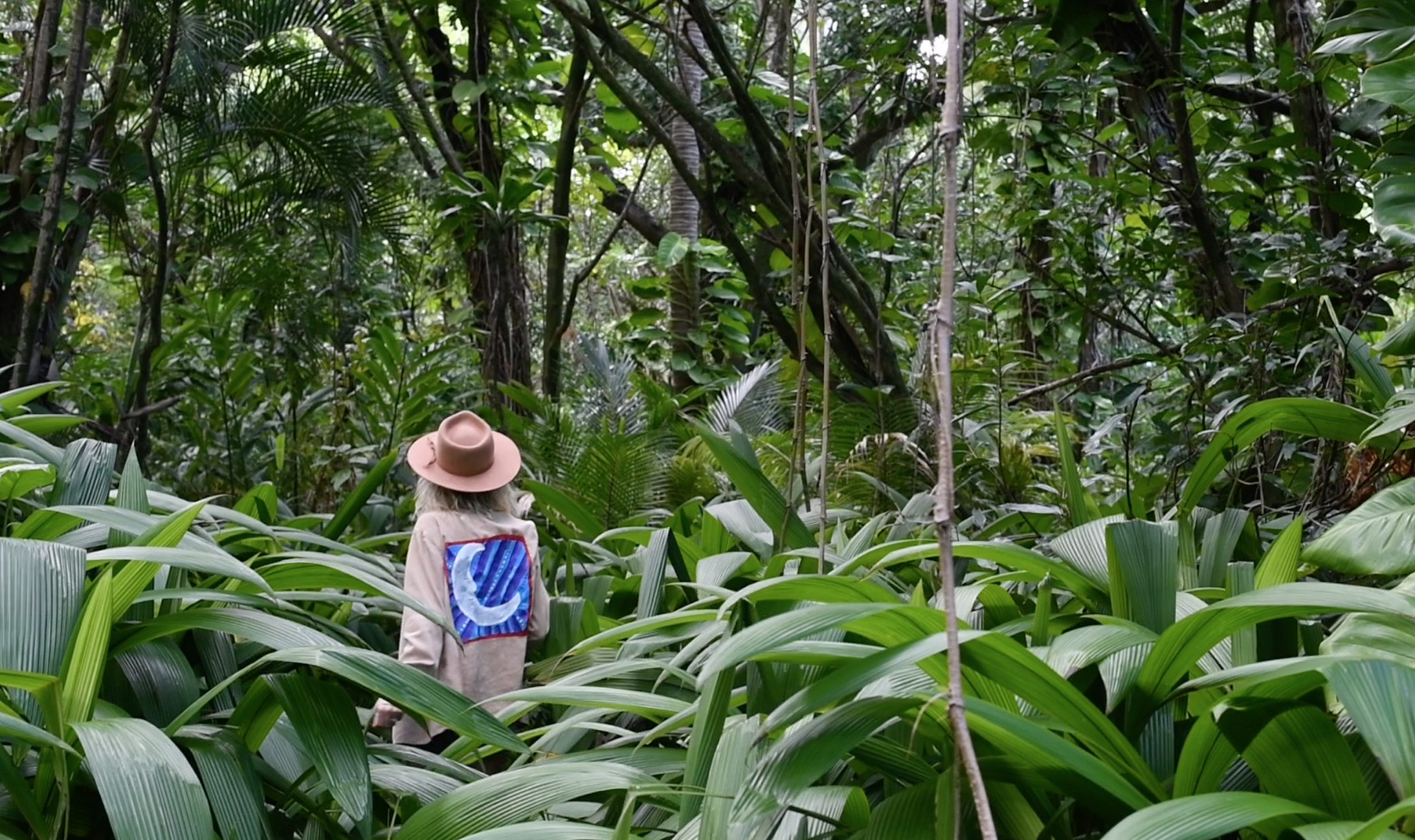 D4FDBCC3-D6E9-4AE1-BAC3-58A505B0C95C