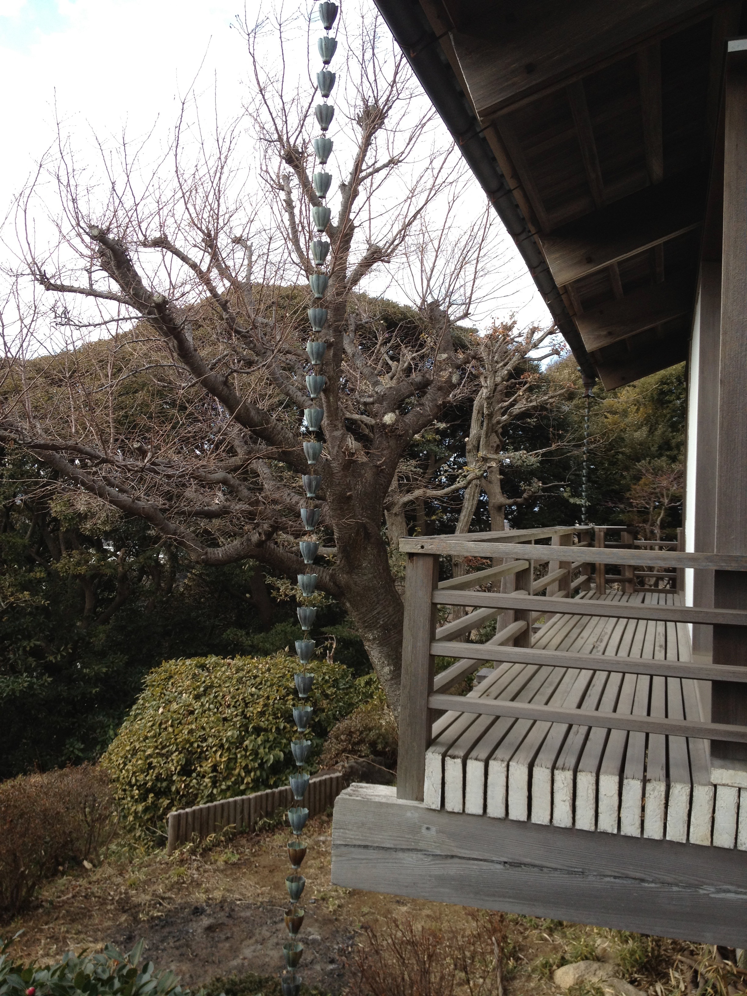 IMG_3831.jpeg