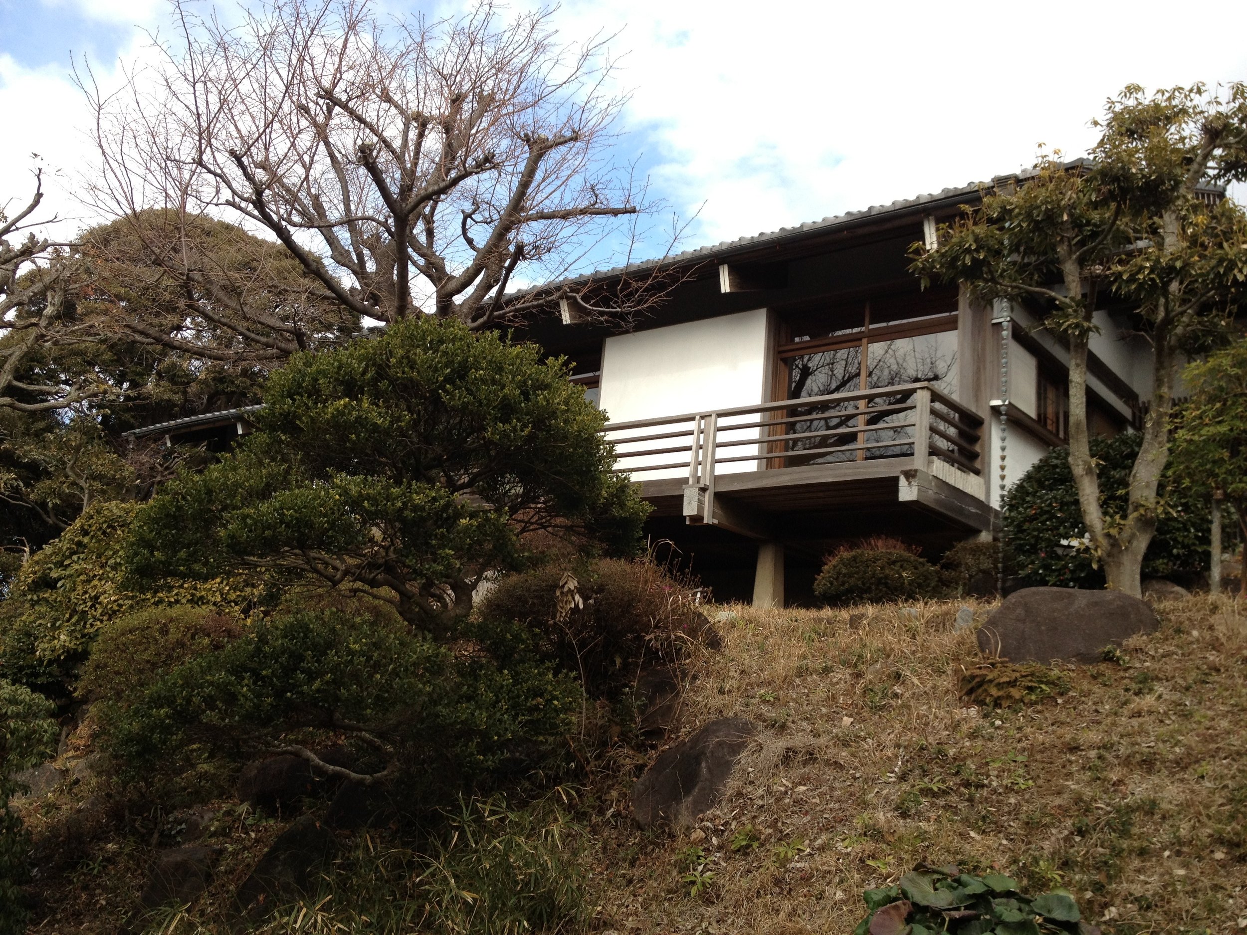 IMG_3840.jpeg