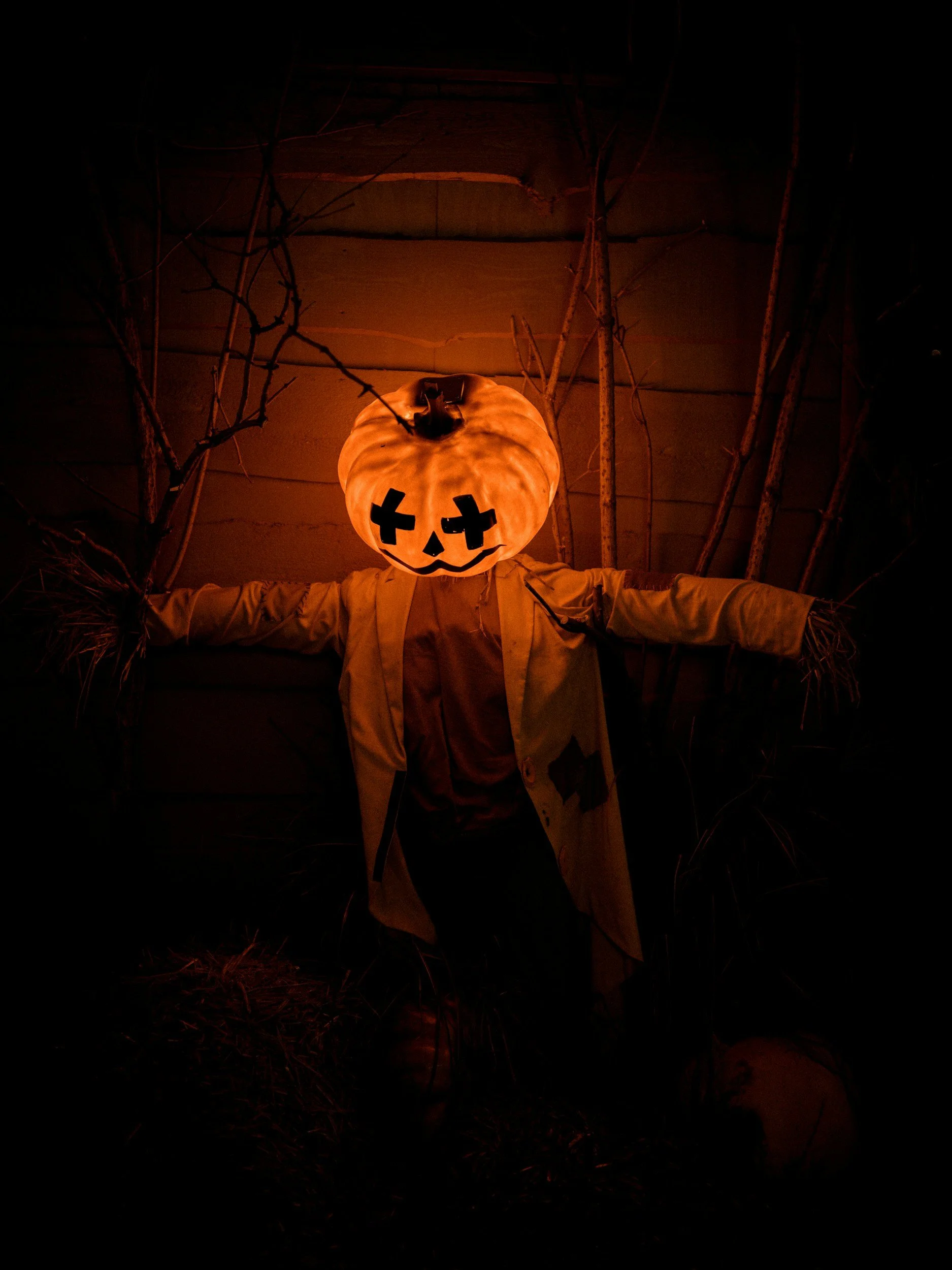 Halloween Magic Show for Community and Neighbourhood Events