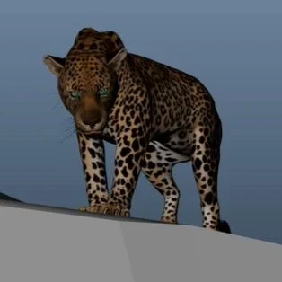 Quadrupede animato, corso Creature Animation