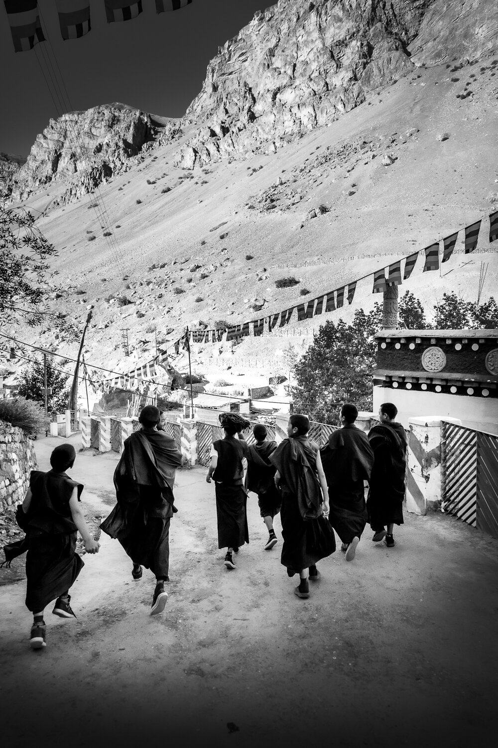 young monk at key monastery by prathamesh dixit.jpg