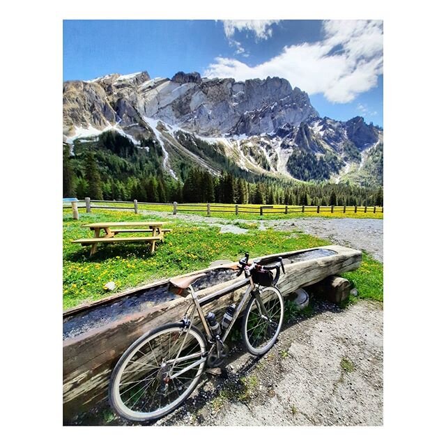 You couldn't ask for a more idyllic local ride. Solalex is just the most beautiful  place to cycle to, especially  in the spring time.
.
.
.
.
.
.
#cycling #cyclingswitzerland #cyclistech #baaw #switzerland #swissalps #spring #printemps #solalex #vau
