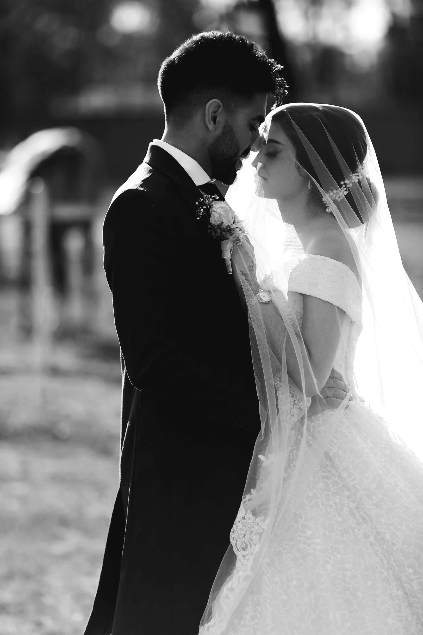 AfterlightImage (2).JPG