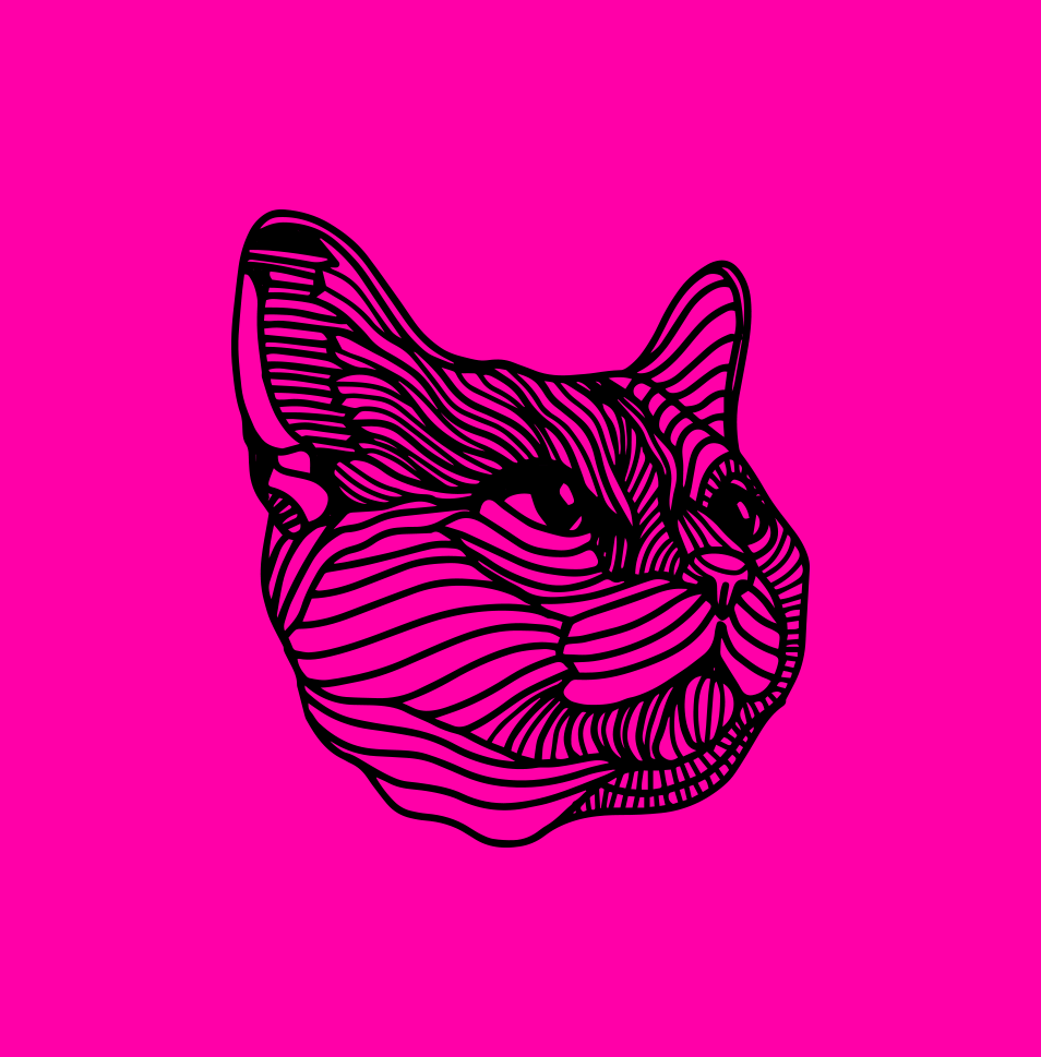 Line art illustration of a cat's face on a bright pink background.