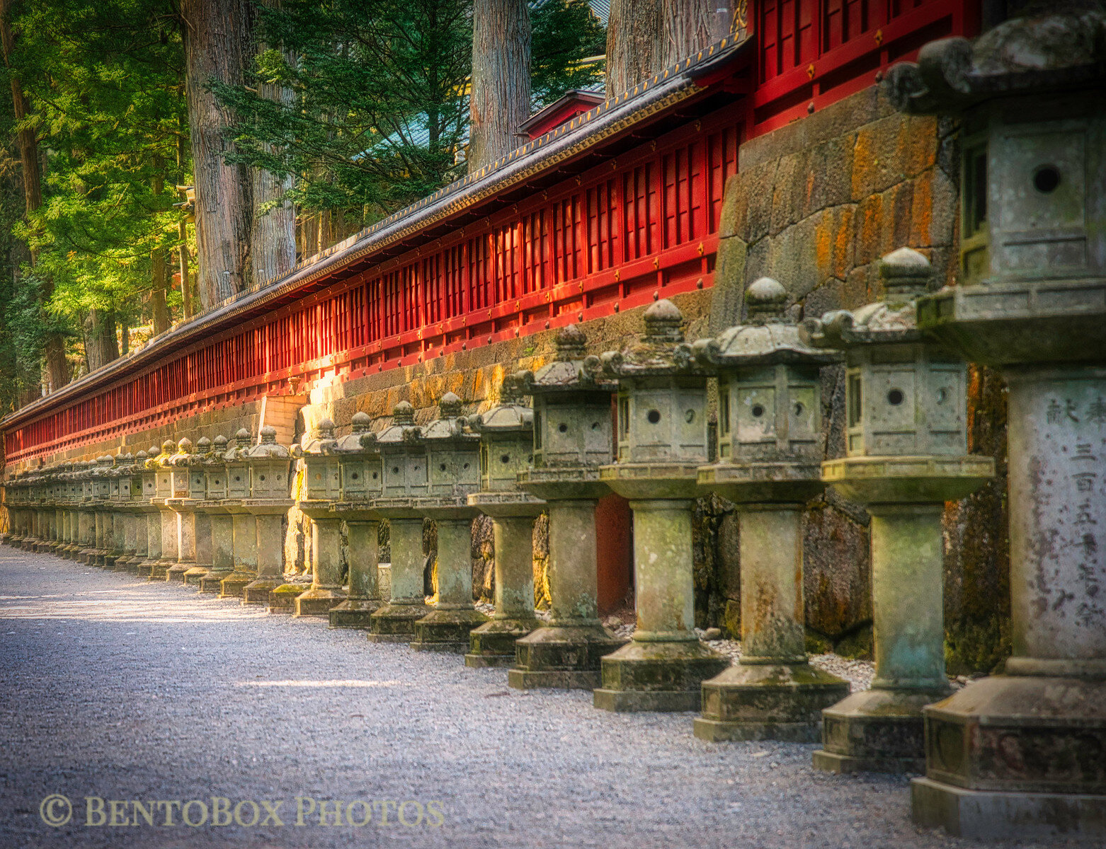 Temple Path in Nikko's Tosho-gu shrine.