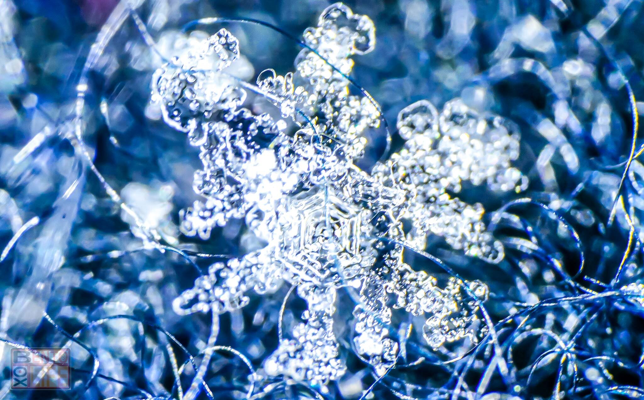 Snowflake-11.jpg