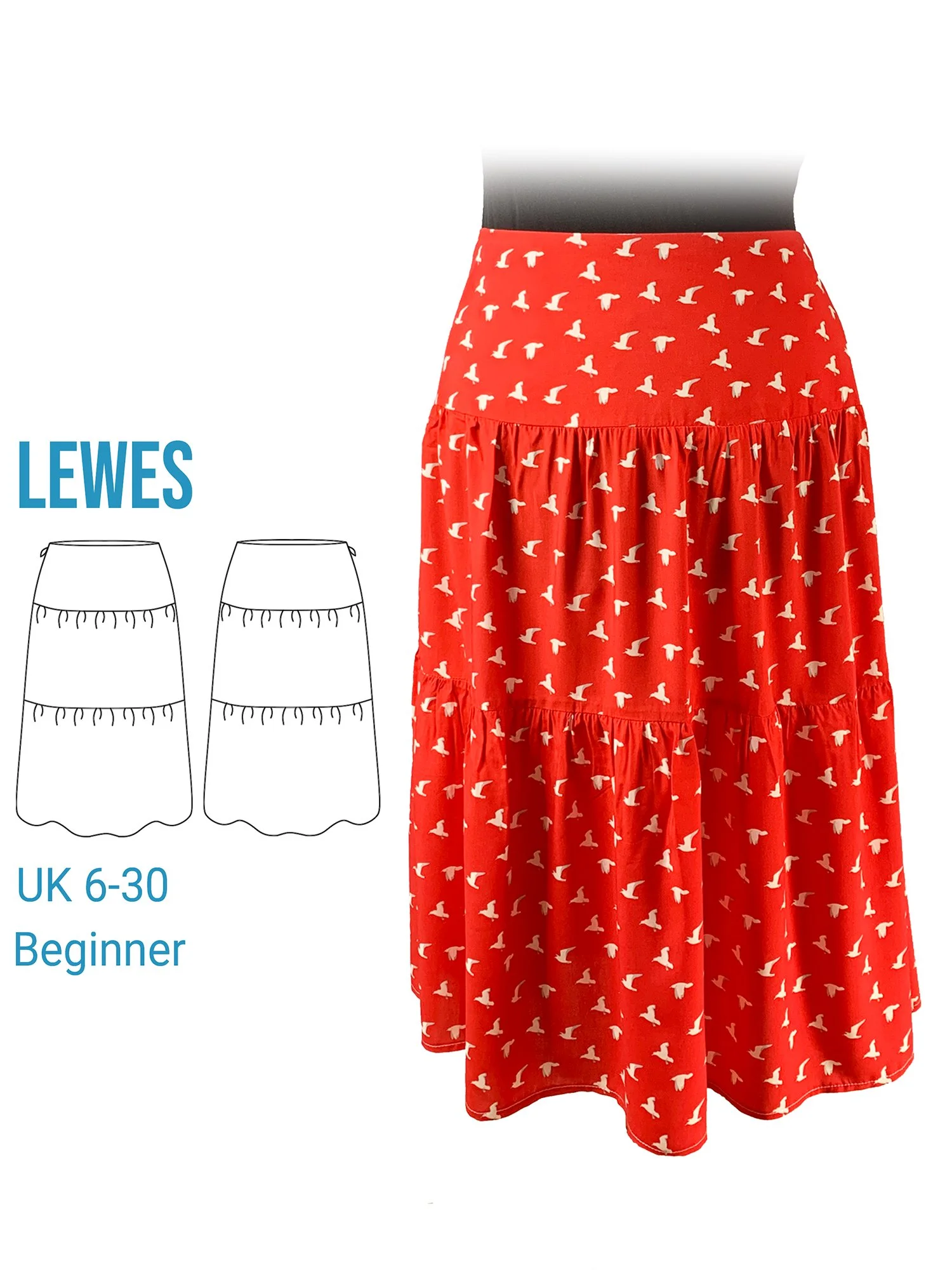 Lewes Main image red.jpg