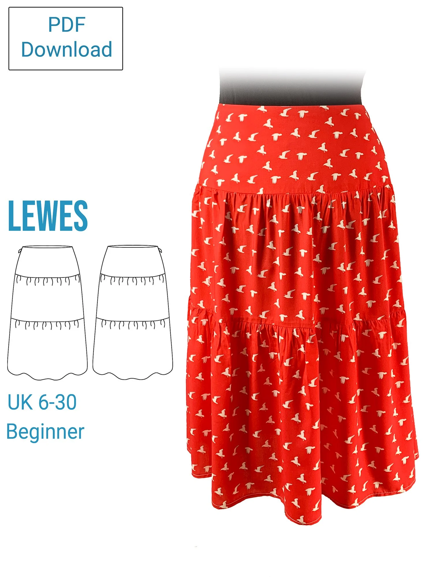 lewes main image red PDF.jpg