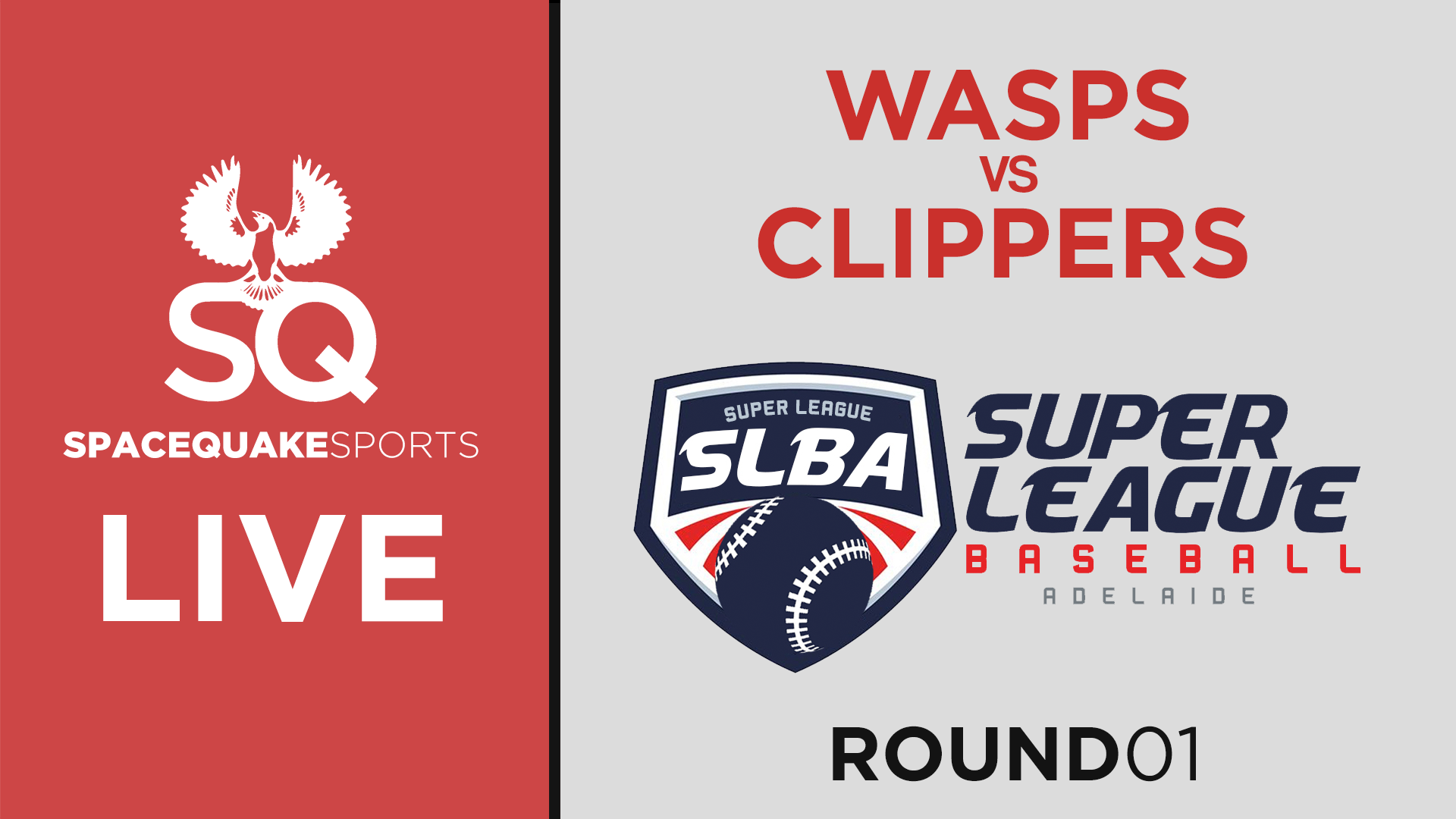 Wasps vs Clippers