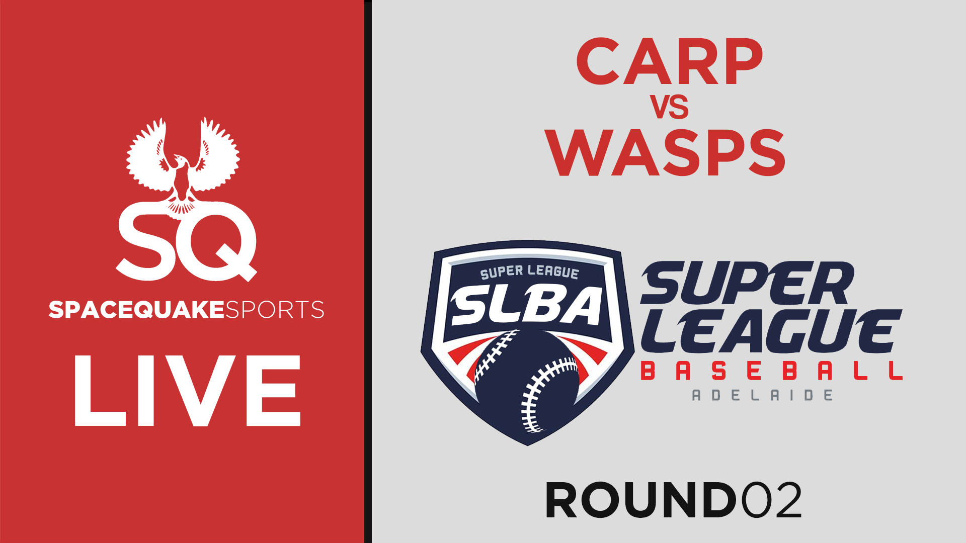 Carp vs Wasps