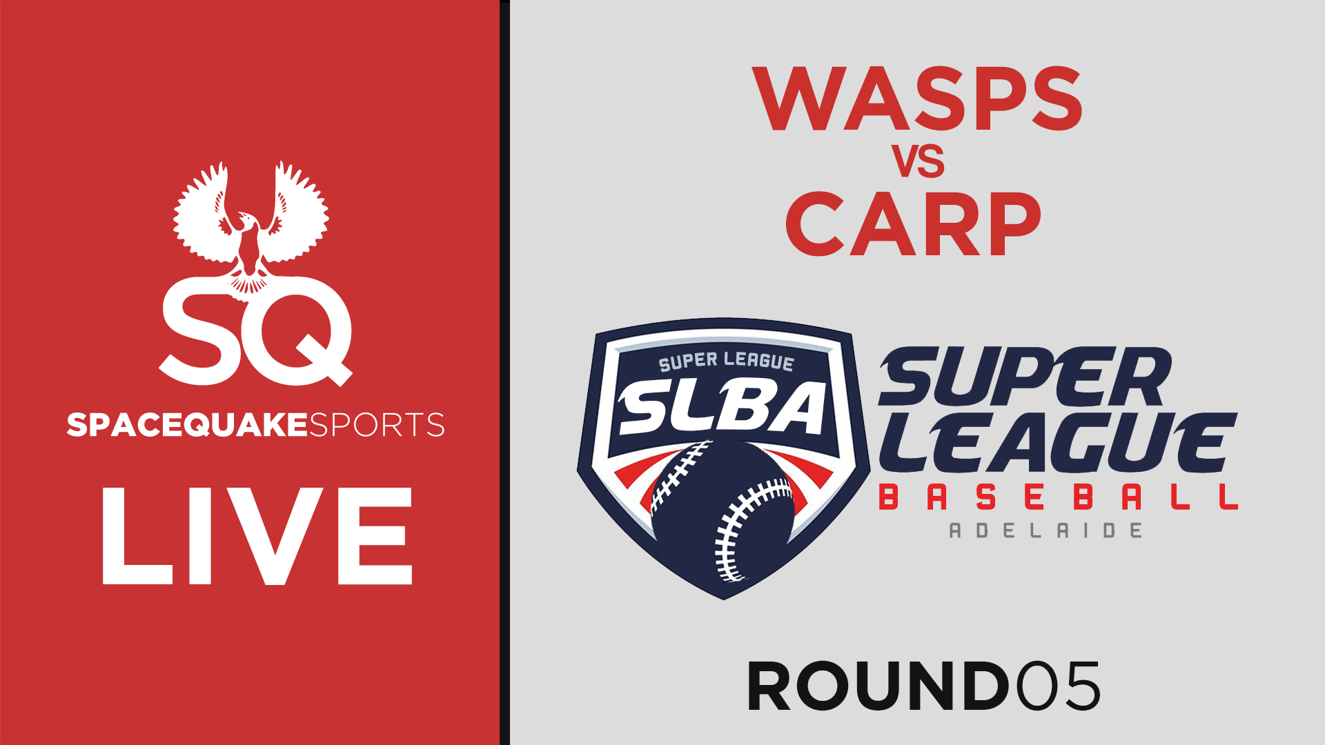 Wasps vs Carp