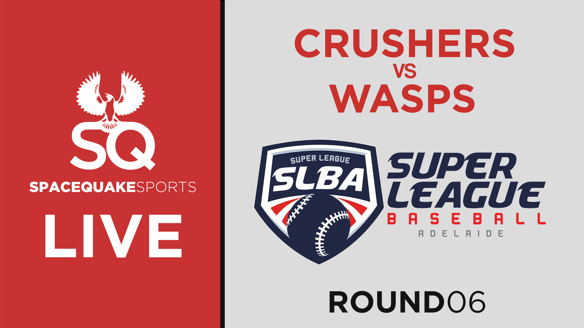 Crushers vs Wasps