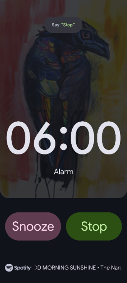 alarm.png