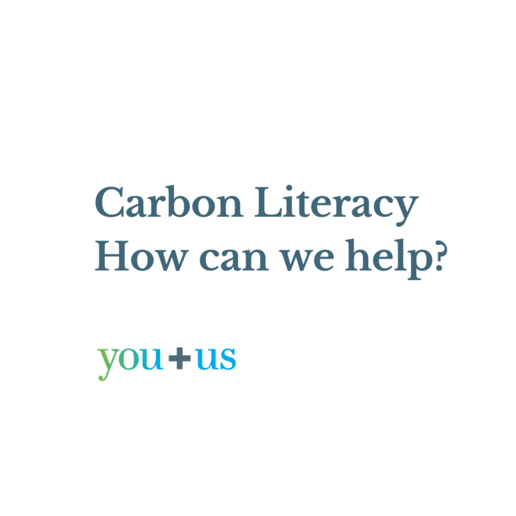 Carbon Literacy - how can we help? 