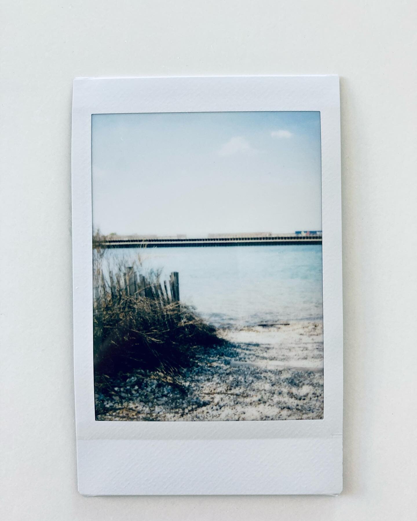 From today&rsquo;s walk around the lake. 

The second image is two of Liam&rsquo;s photos. He&rsquo;s got such a good eye for a 7yo! 📷 (I prefer his photos over mine. 😆)

#buddingphotographer #instaxmini