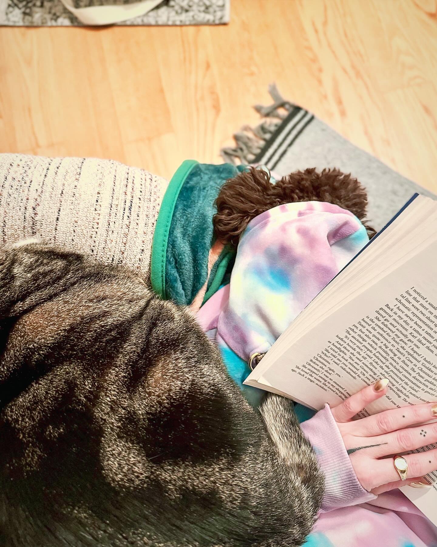 I&rsquo;m trying to read The Life Impossible. These two are making it nearly impossible.