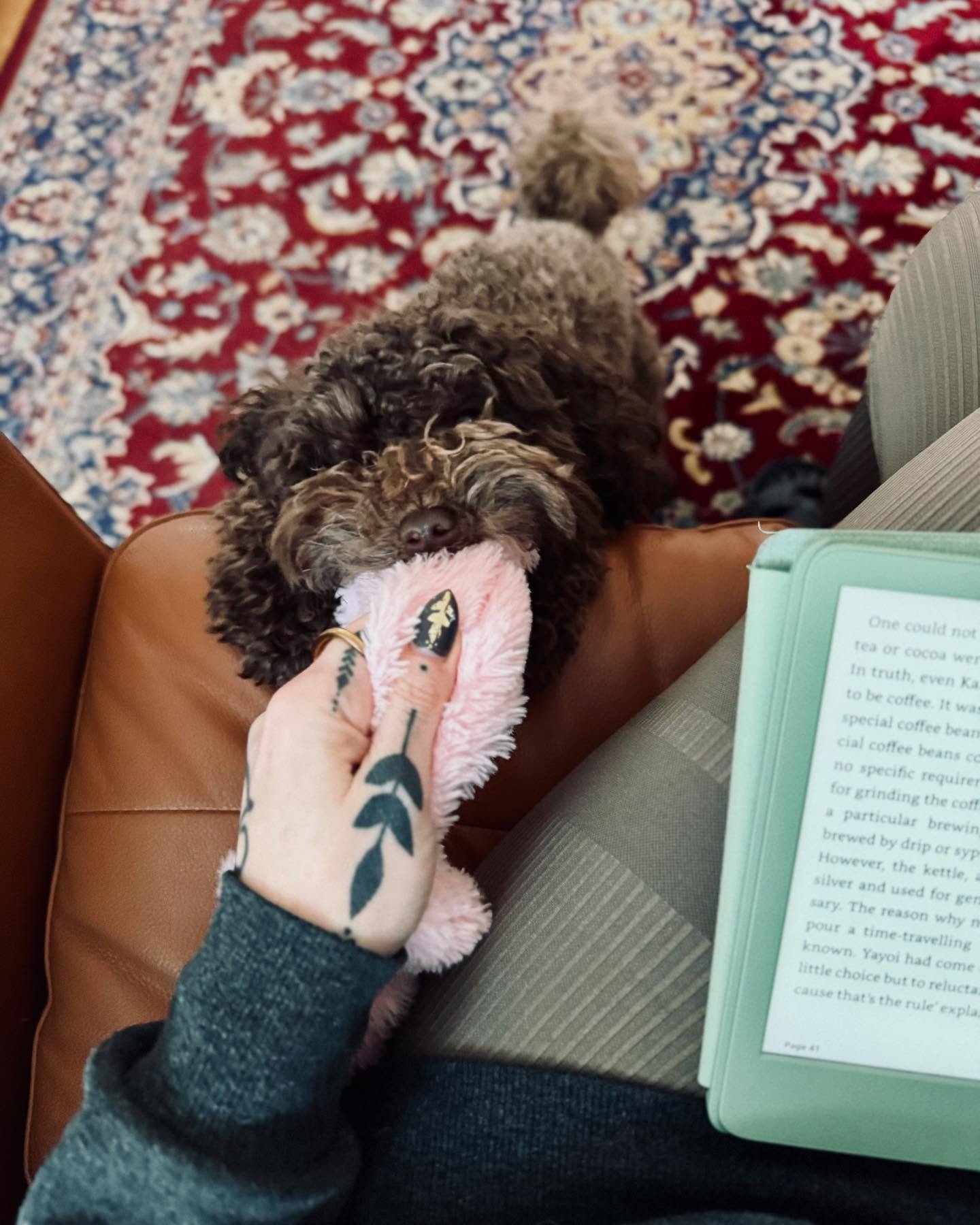 Rude. I&rsquo;m trying to read.