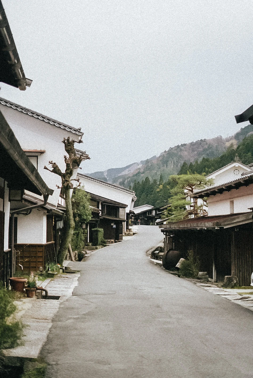 LRG_DSC01246.jpg