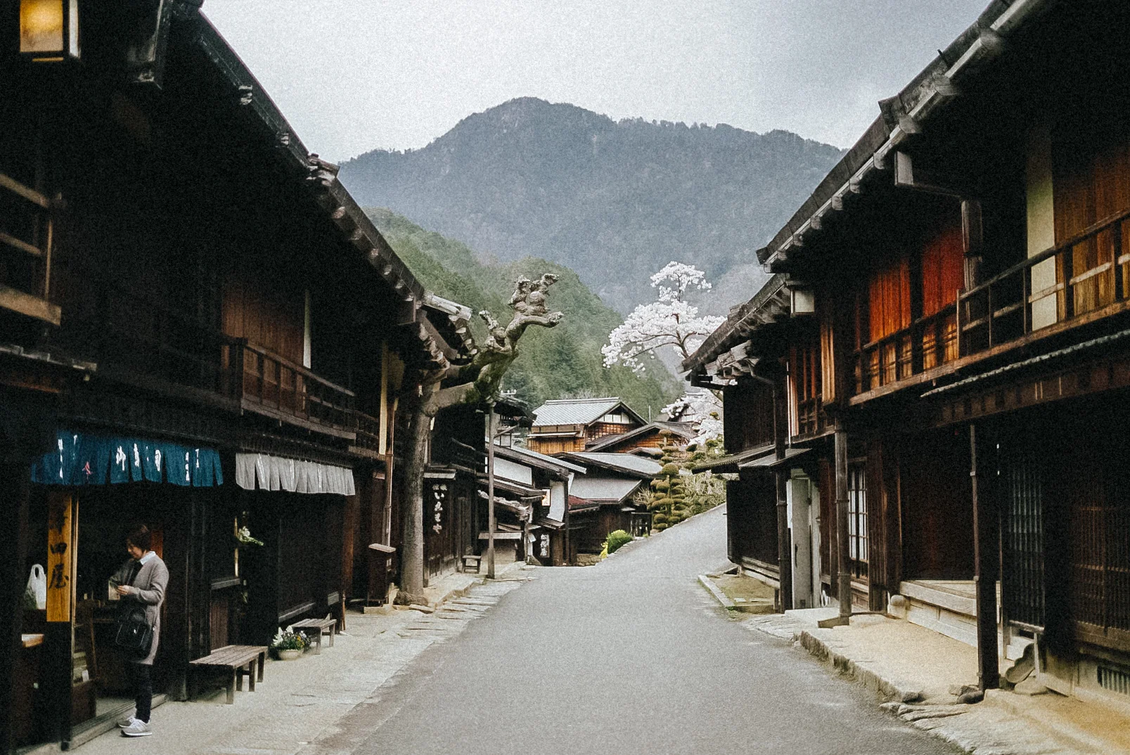 LRG_DSC01272.jpg
