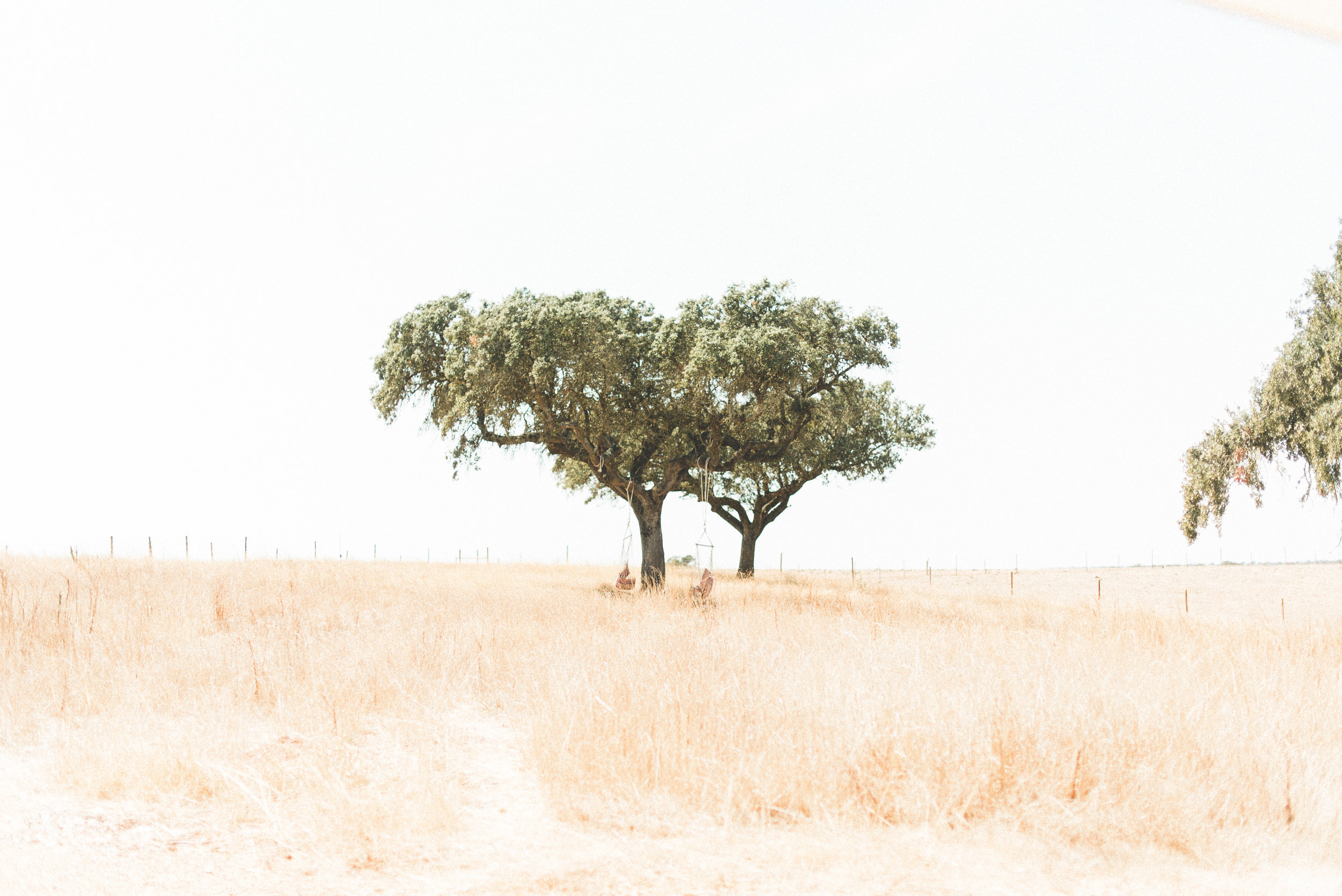 Agroturismo Xistos (Beja, Alentejo)