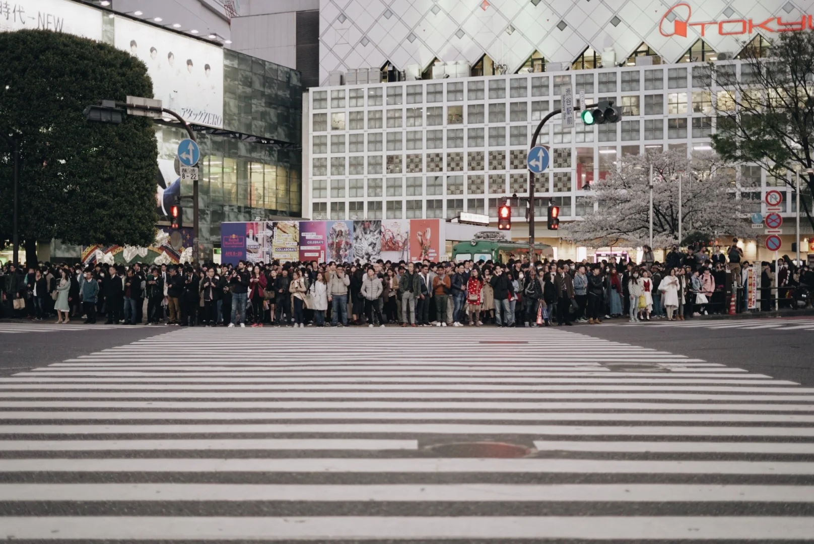 87E92421-8D34-4592-85DC-7A3F0DAB1DD8.JPG