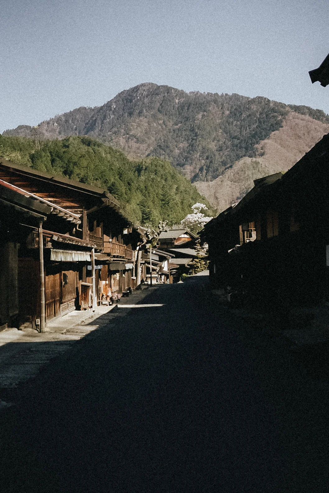 LRG_DSC01339.jpg