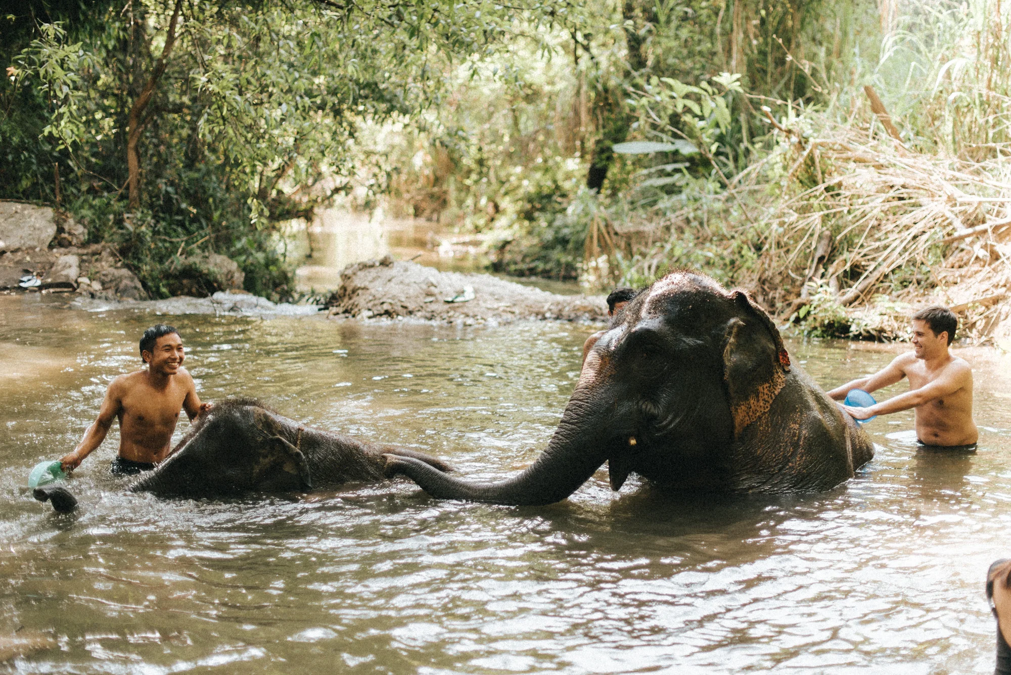 Chiang Mai
