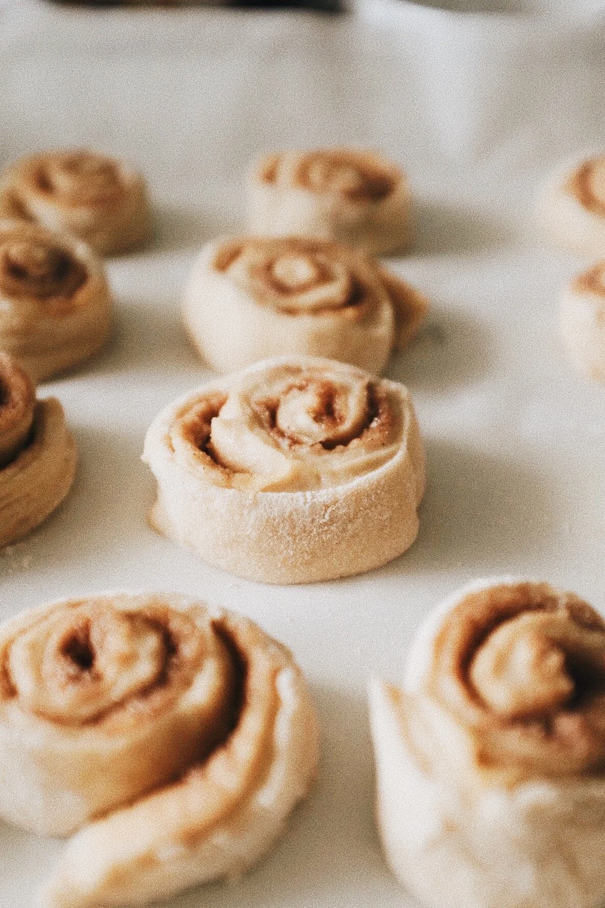 Cinnamon Rolls