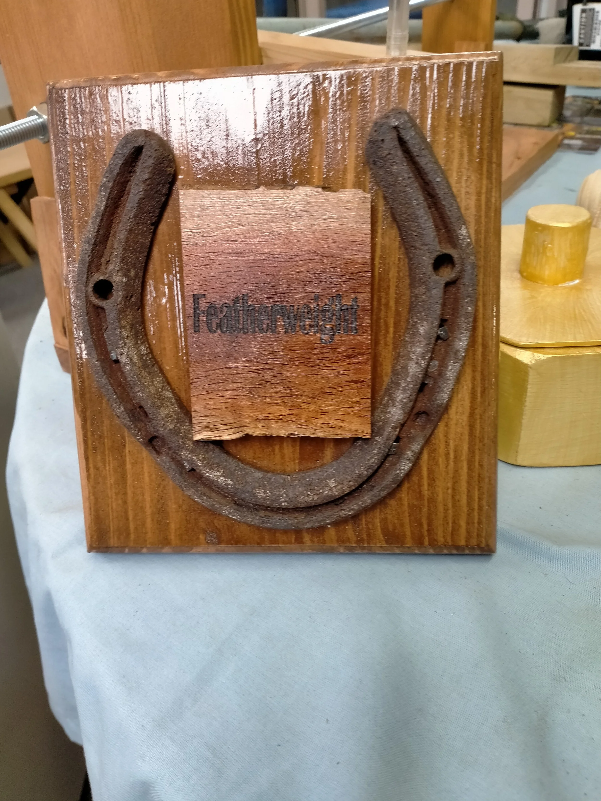 Horse Shoe Plaques  Good Luck
