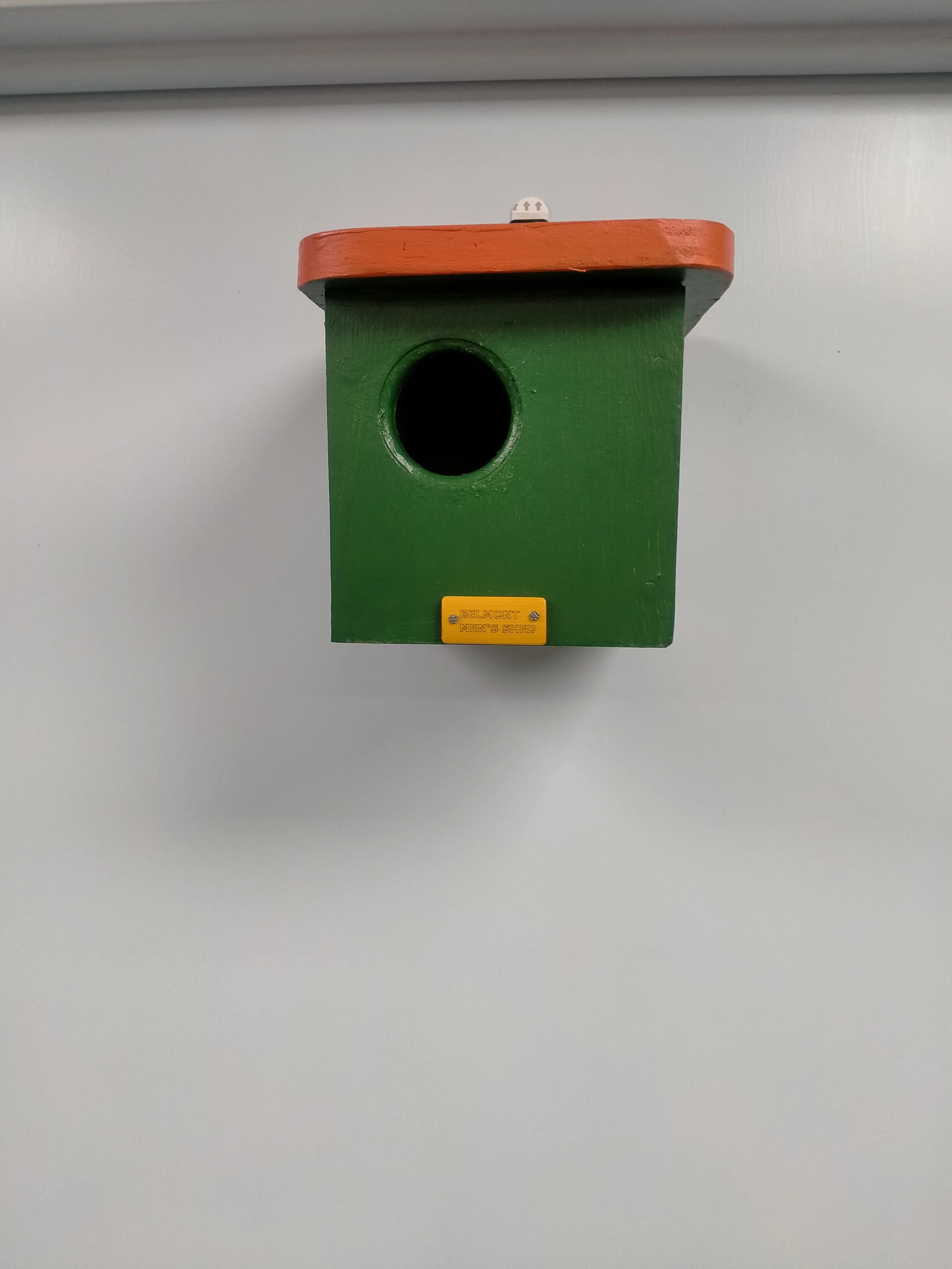 Small Parrot box