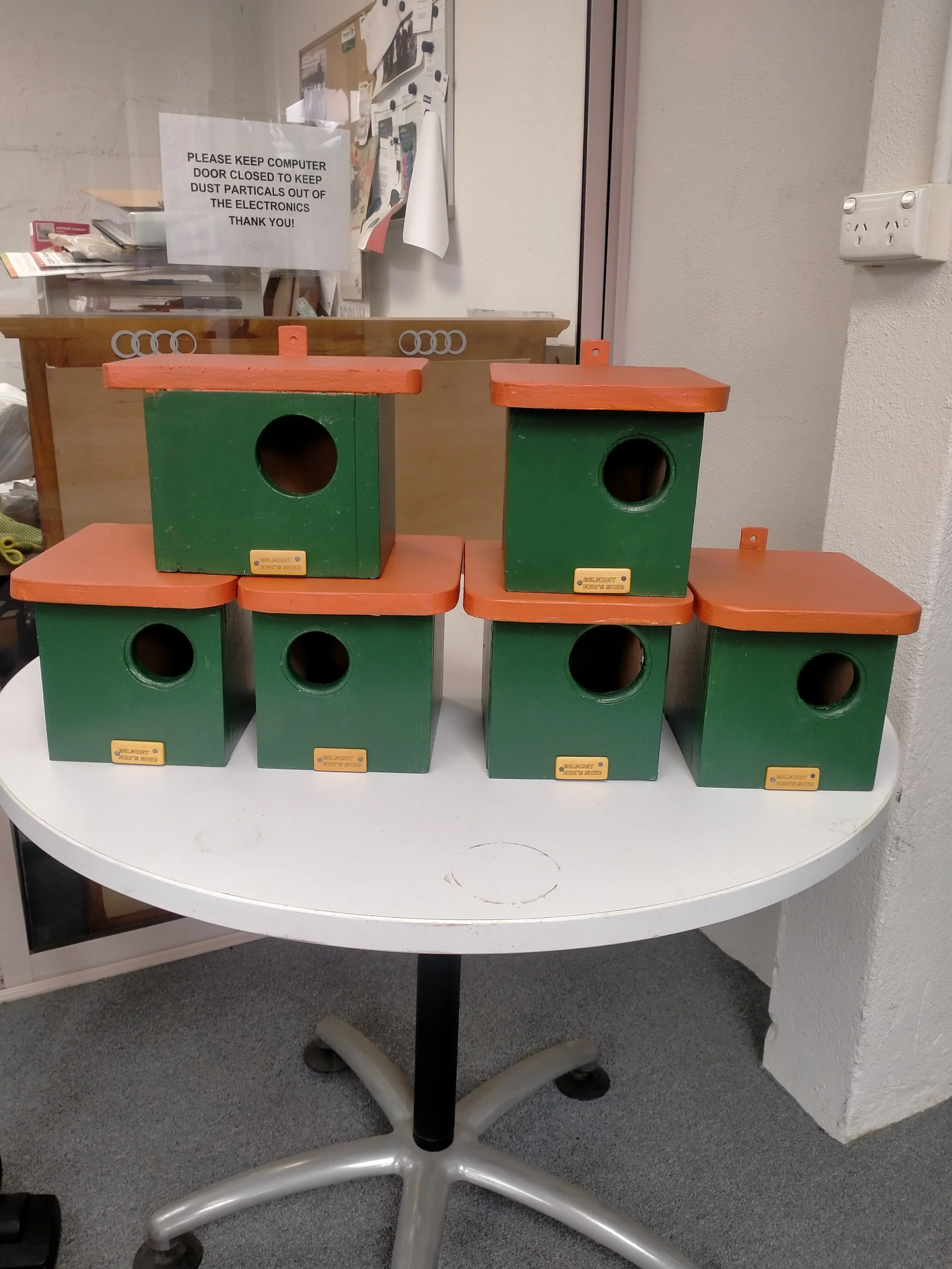 Small Parrot boxes