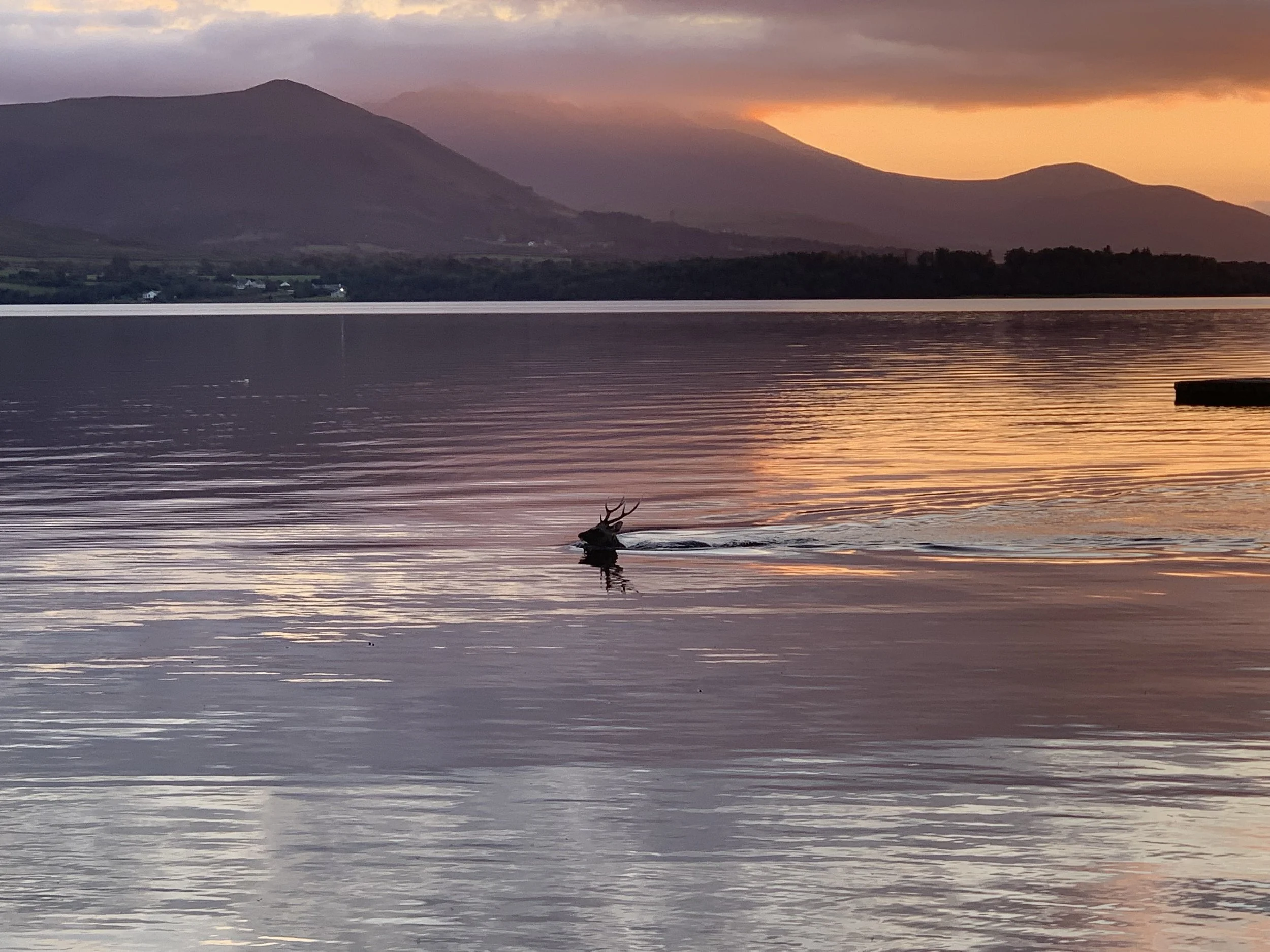 FAIR AT SCHOOL AND WORK