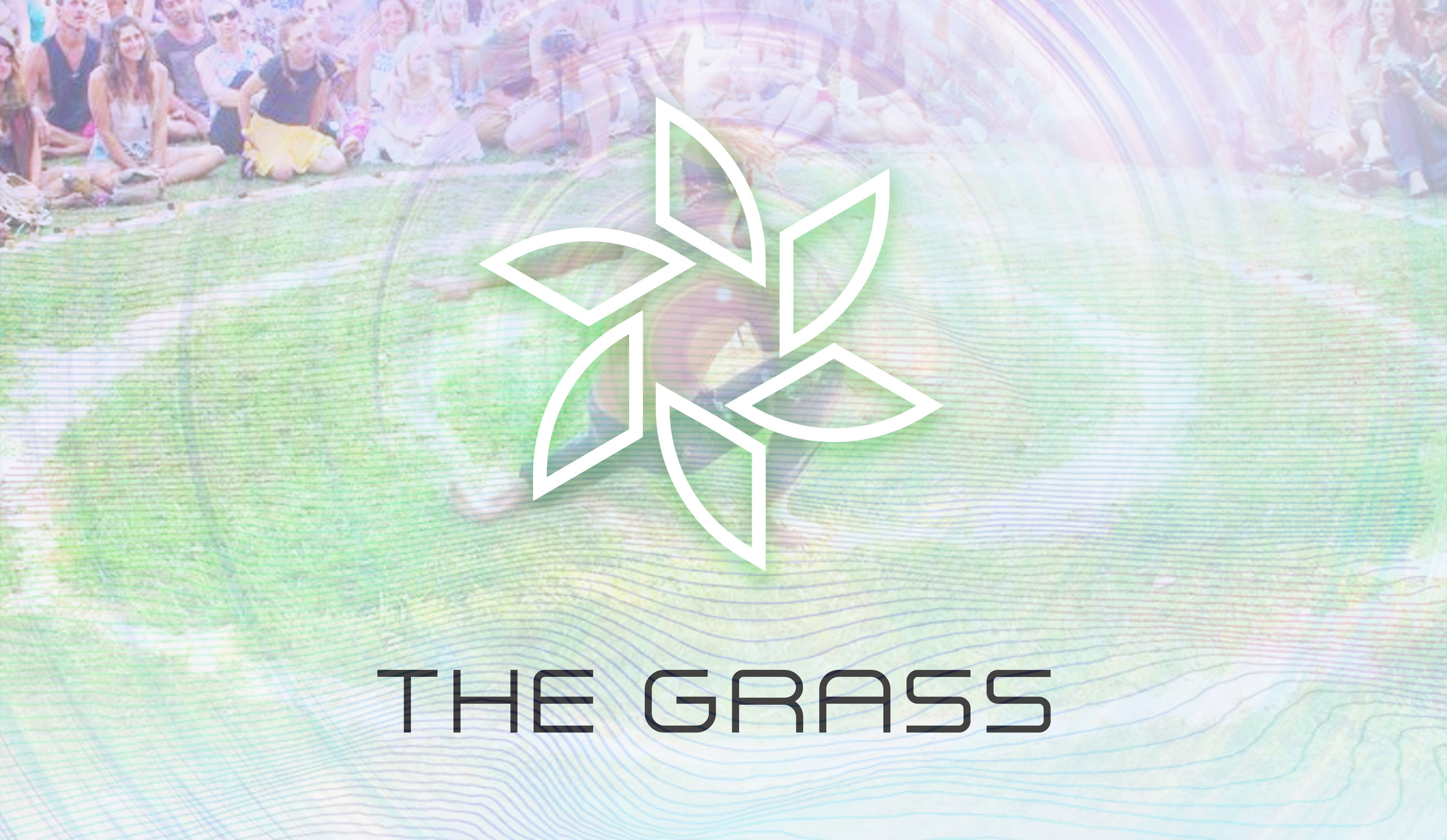 grass.jpg