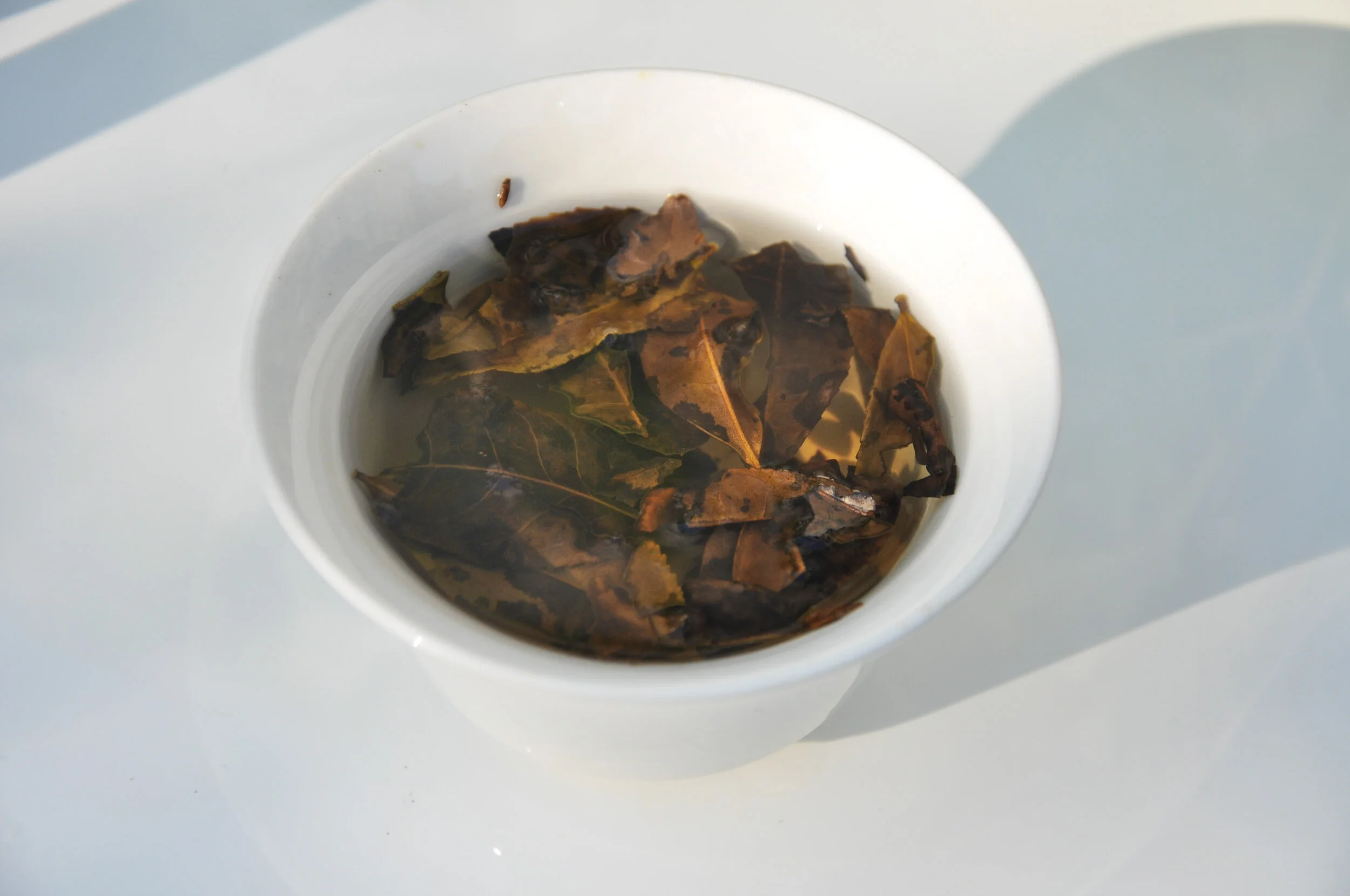 Japan Teas-2.jpg