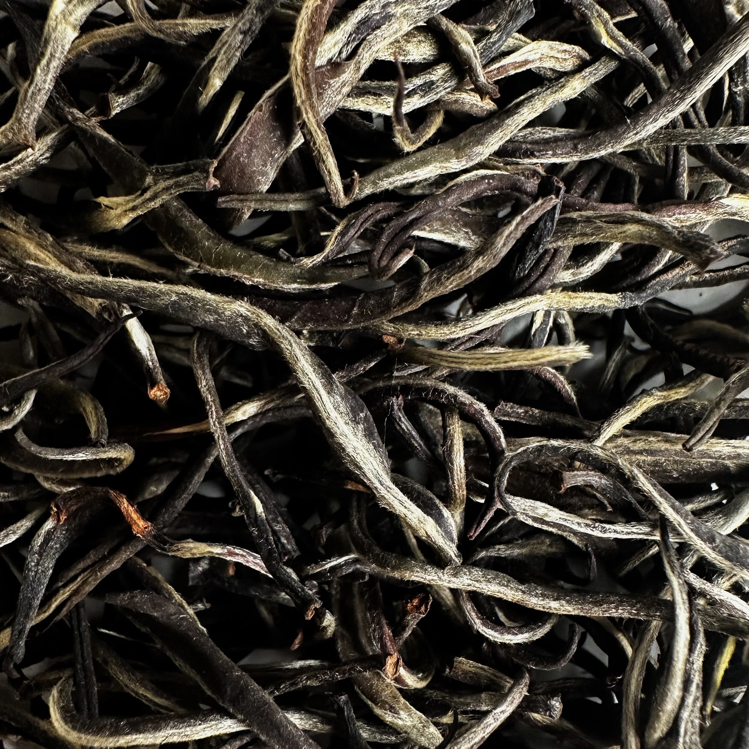 3F541ECB-B28F-4405-924F-40E9B0FADCF6