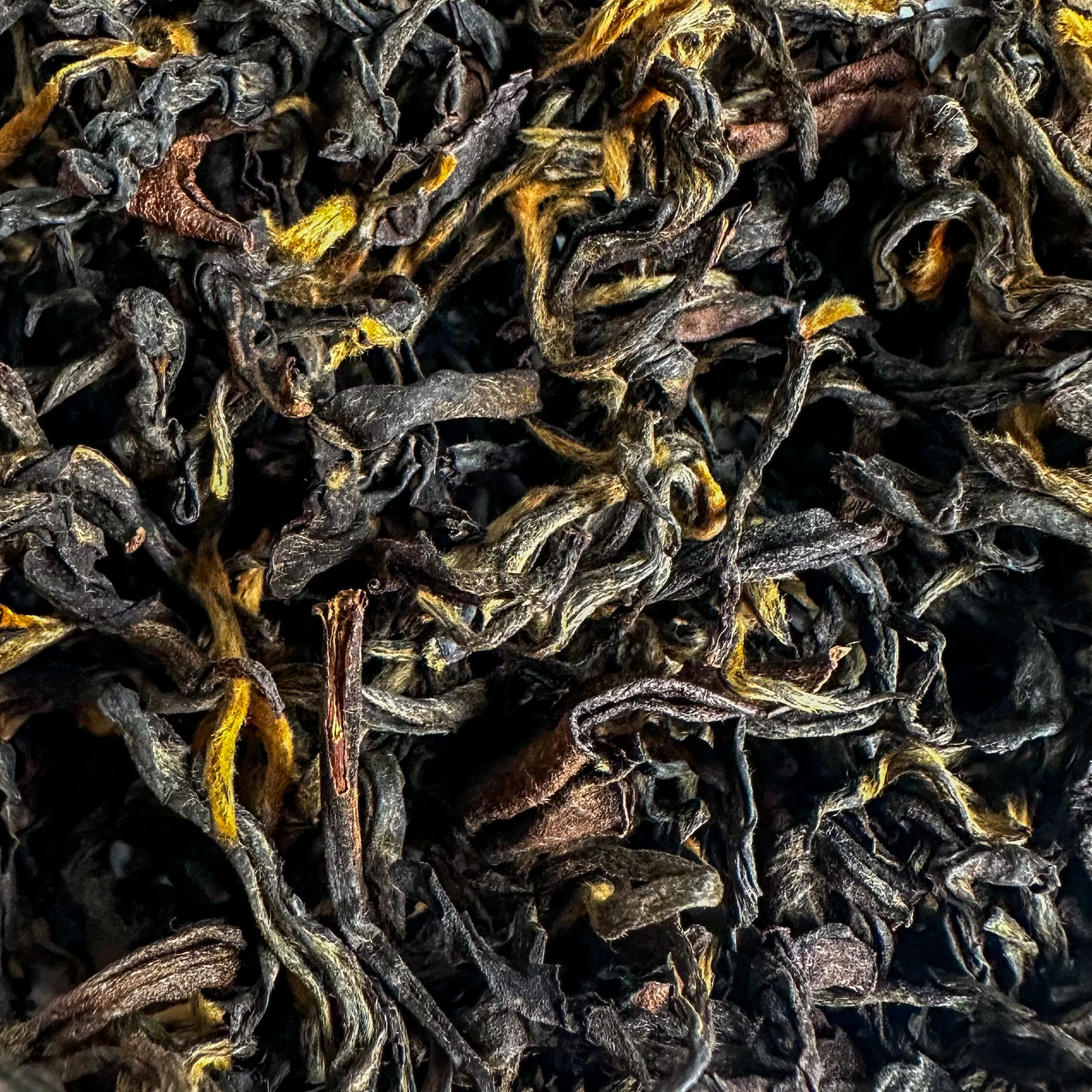 85717C07-55DE-494B-A00A-07CD307E92D2