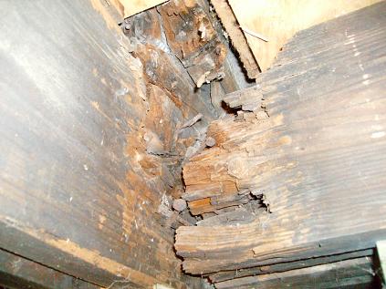 Deteriorated Beams And Moisture Damage