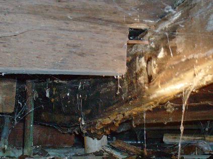 Failed Girder Due To Moisture Damage From Plumbing Leak
