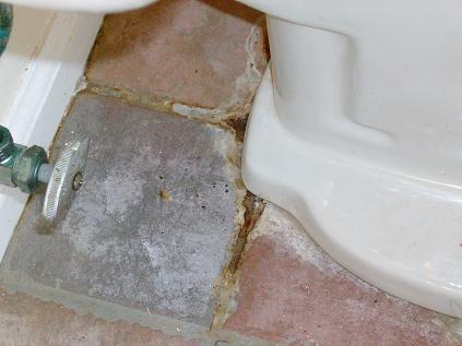 Leaking Toilet Should Be Reseated With New Seal To Prevent Further Floor Damage