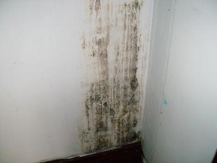 Mold In Closet From Plumbing Leak Can Have Adverse Health Affects