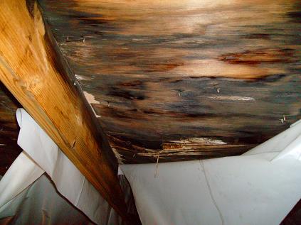 Rotted Roof Decking From Leak Prevention Attempt From Inside Attic