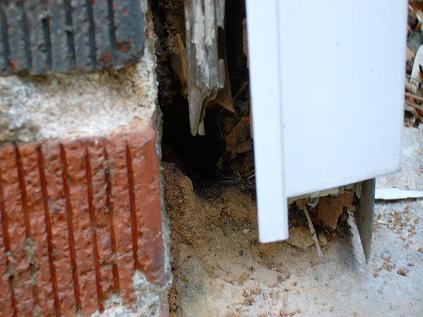 Termite Damage To Wood Behind Garage Door Trim