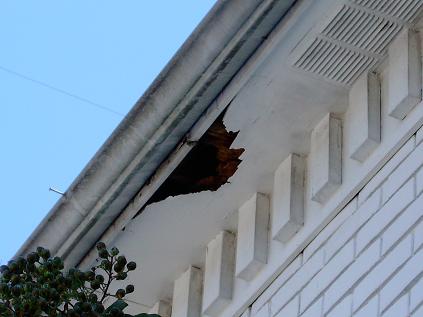 Rotted Soffits From Poor Guttering