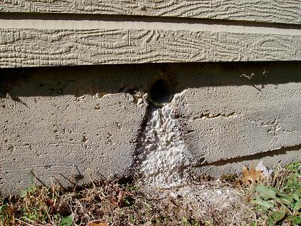 Condensate Line Termination Location Could Cause Foundation Issues
