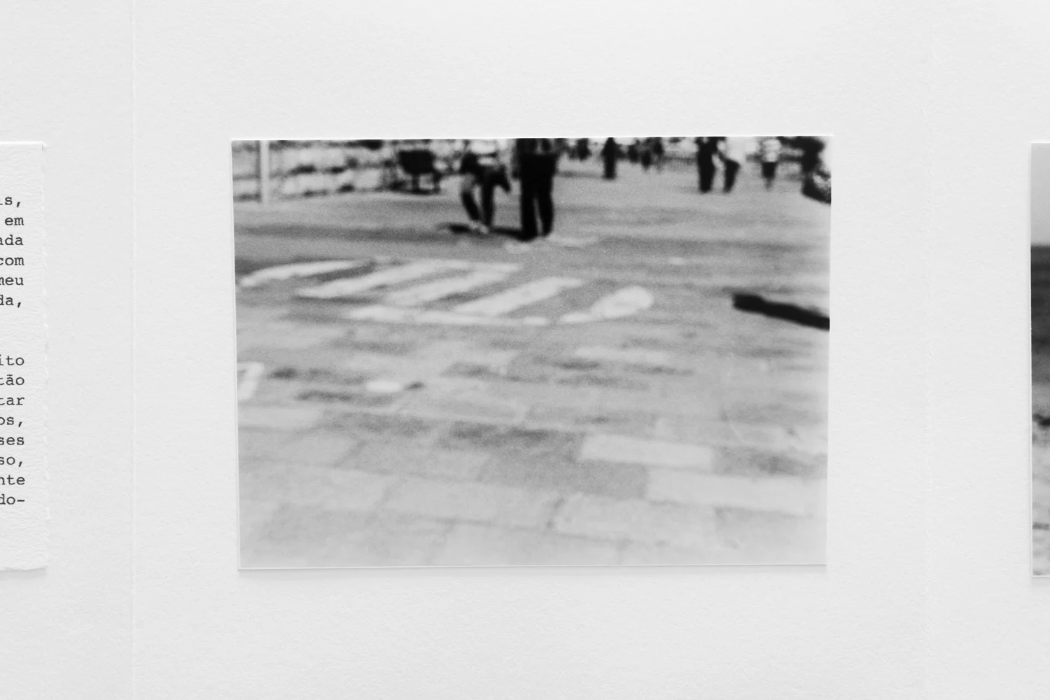 L1130444.jpg