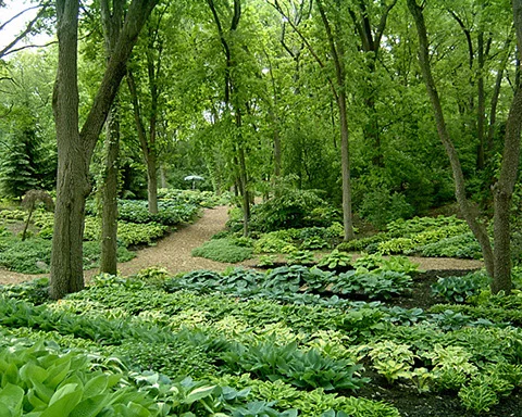 Arboretum2.jpg