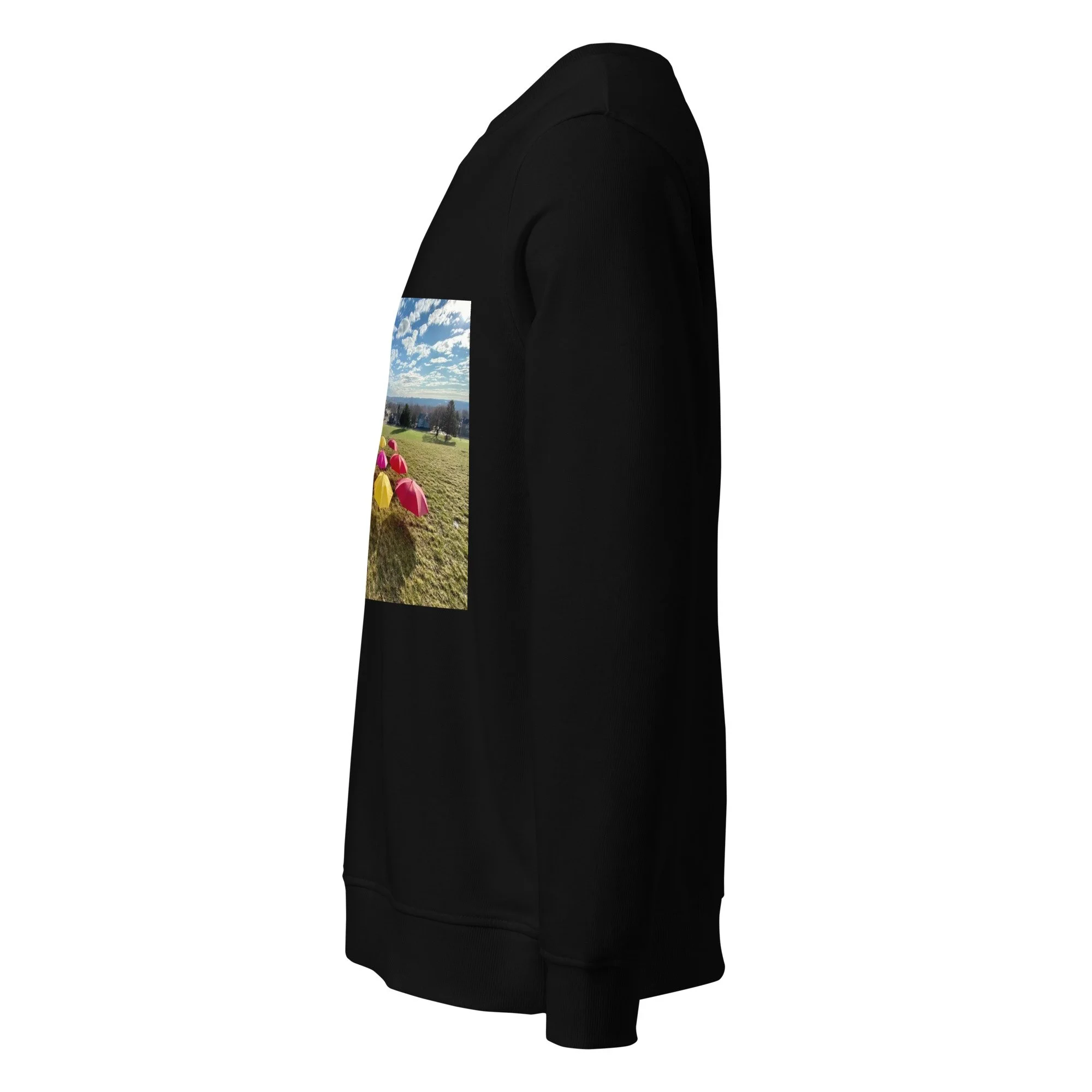 unisex-organic-sweatshirt-black-left-69e3ac513d104.jpg